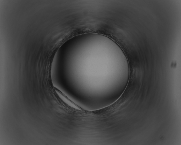 X0000091491250200708301928