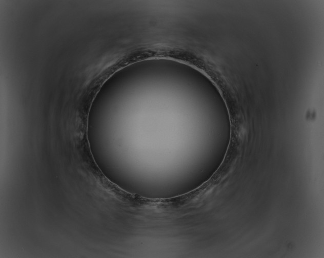 X0000091491253200708301928