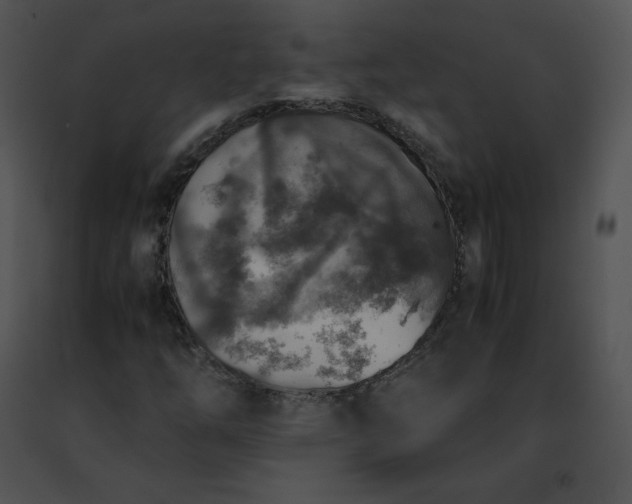 X0000091491254200708301928