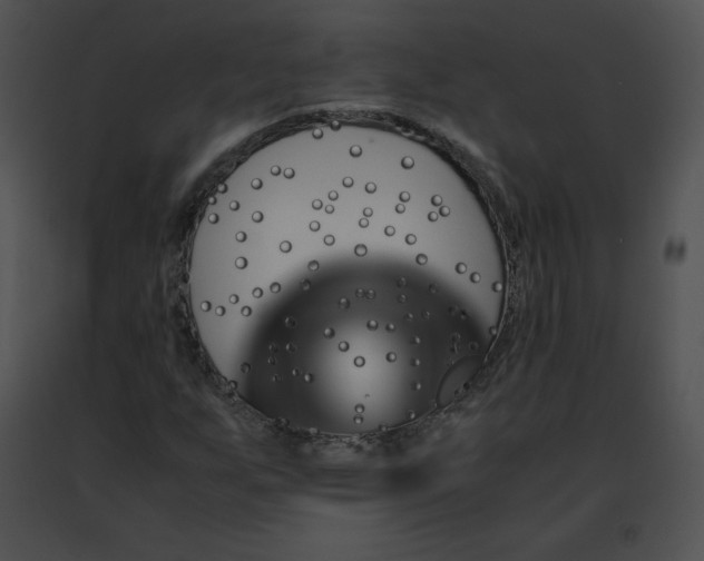 X0000091491255200708301928