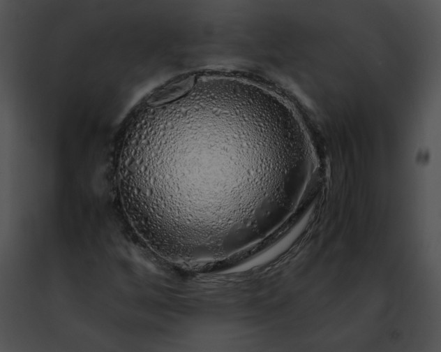 X0000091491256200708301928