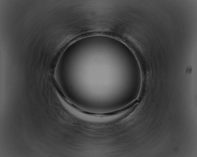 X0000091491257200708301928