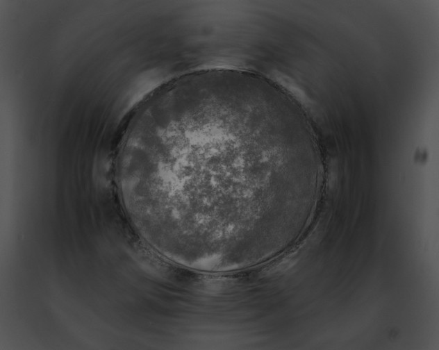 X0000091491258200708301928