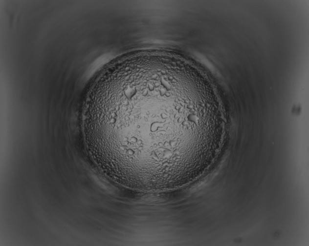 X0000091491259200708301928