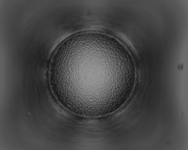 X0000091491260200708301928