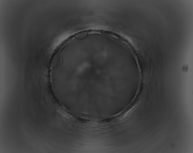 X0000091491263200708301928