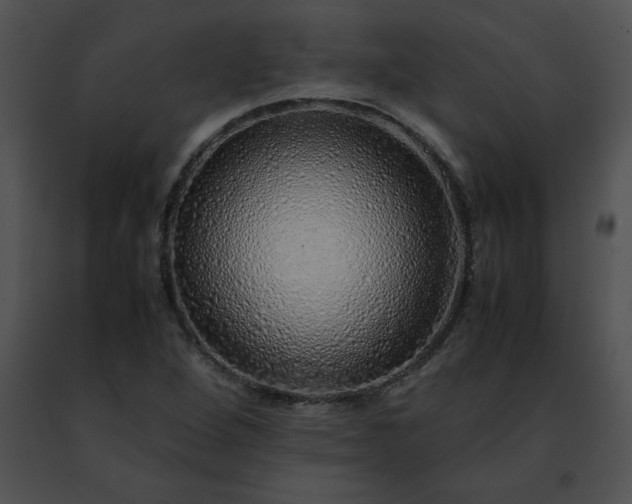 X0000091491264200708301928