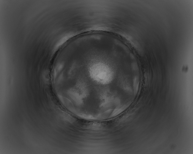 X0000091491266200708301928