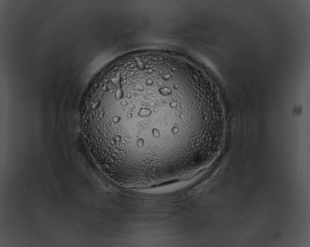 X0000091491267200708301928