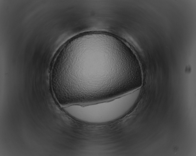 X0000091491268200708301928