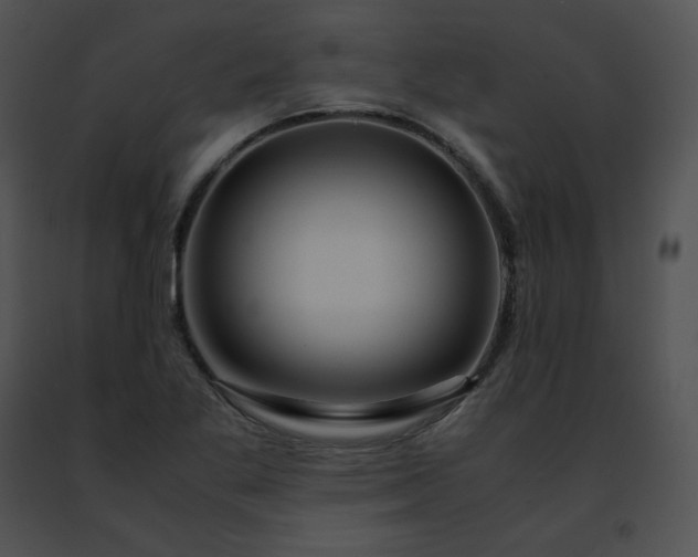 X0000091491269200708301928