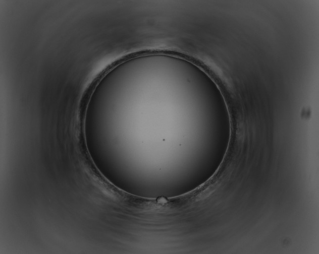 X0000091491270200708301928