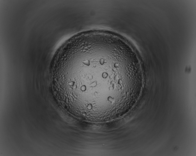 X0000091491271200708301928