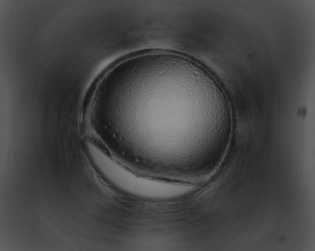 X0000091491272200708301928