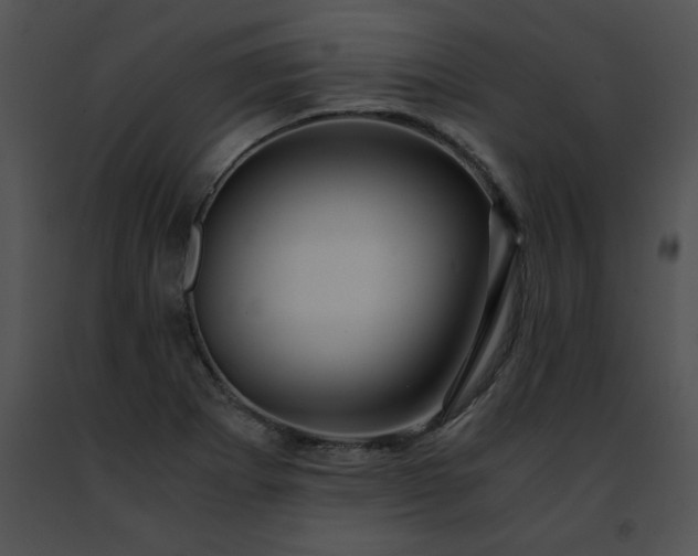 X0000091491273200708301928