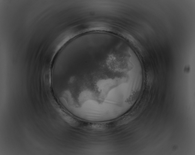 X0000091491274200708301928