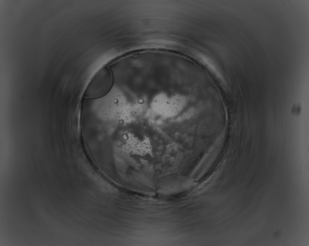 X0000091491275200708301928