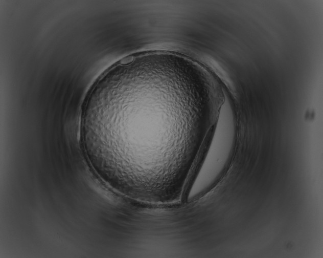 X0000091491276200708301928