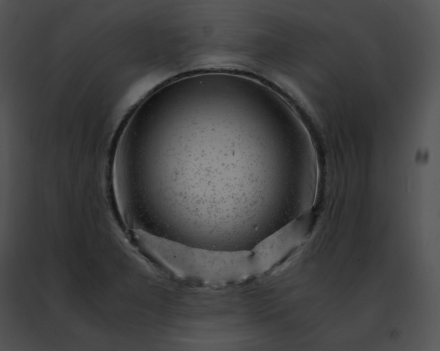 X0000091491277200708301928