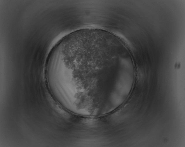 X0000091491278200708301928