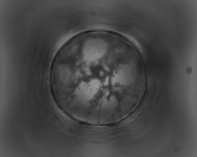 X0000091491279200708301928