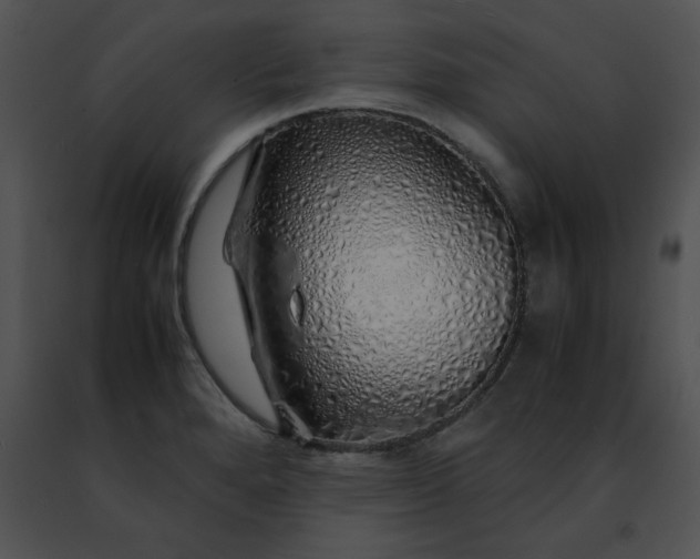 X0000091491280200708301928