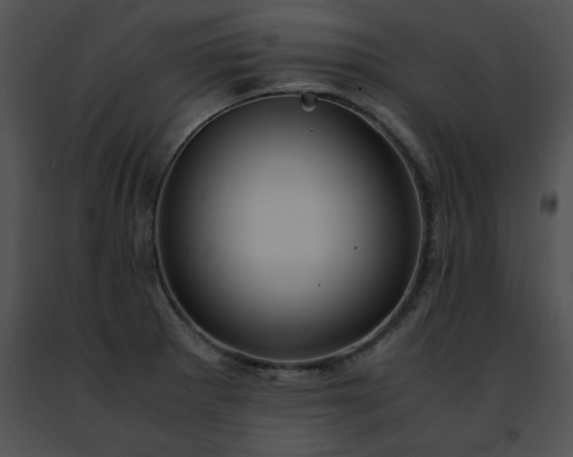 X0000091491281200708301928