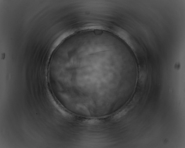 X0000091491282200708301928