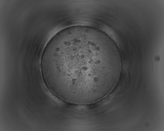 X0000091491283200708301928