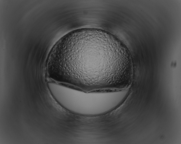 X0000091491284200708301928