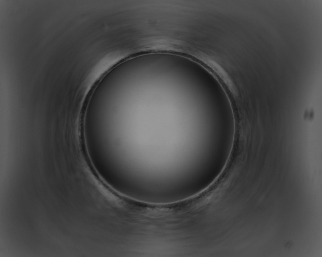 X0000091491285200708301928