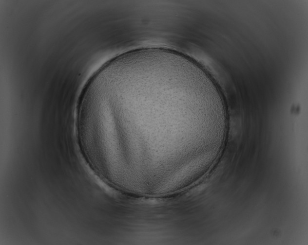 X0000091491286200708301928