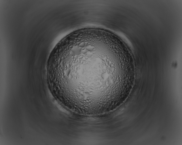 X0000091491287200708301928