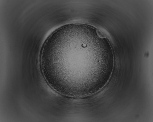 X0000091491288200708301928