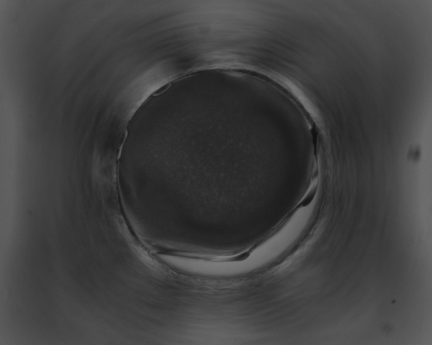 X0000091491289200708301928