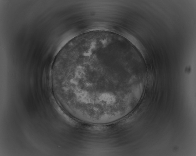 X0000091491290200708301928