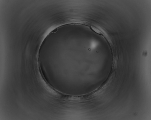 X0000091491291200708301928