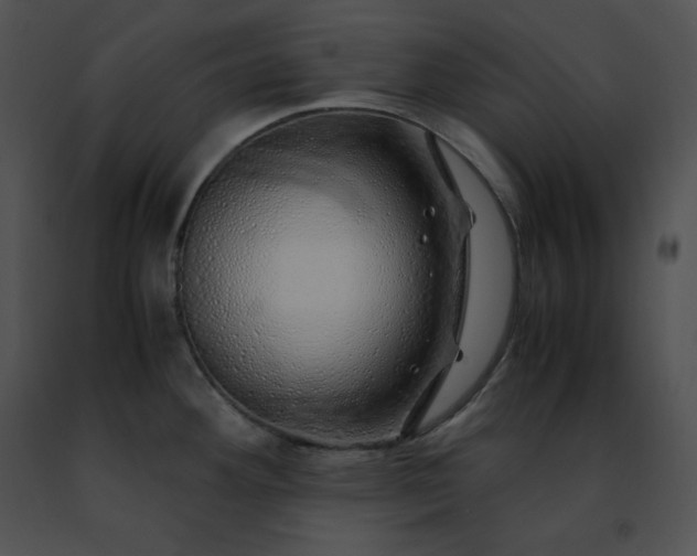 X0000091491292200708301928