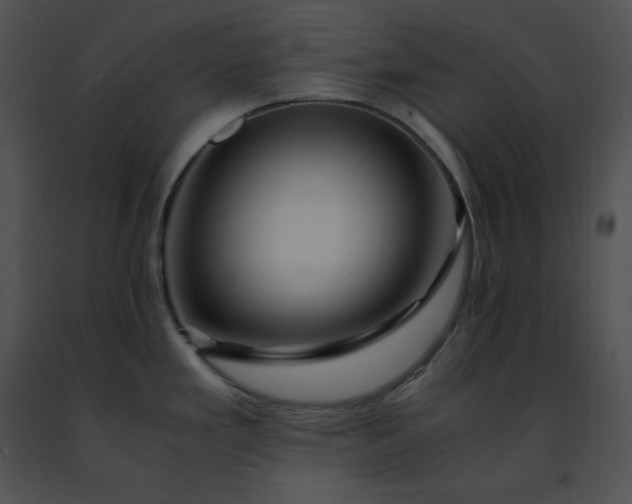 X0000091491293200708301928