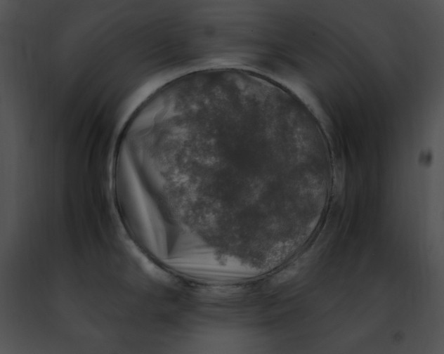 X0000091491294200708301928