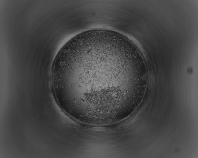 X0000091491295200708301928