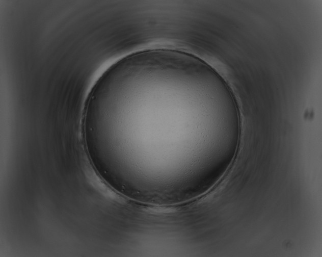 X0000091491296200708301928