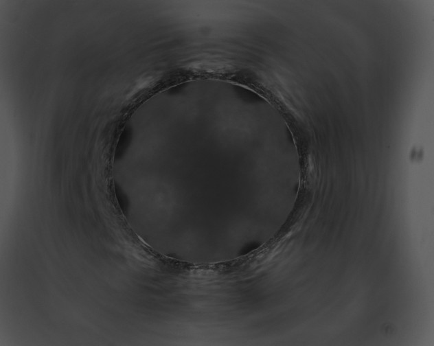 X0000091491297200708301927