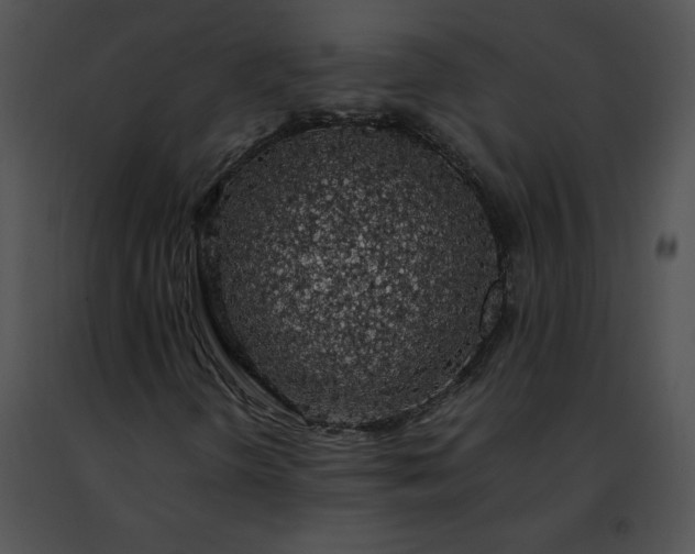 X0000091491298200708301927