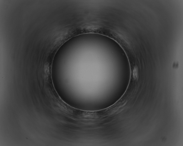 X0000091491299200708301927