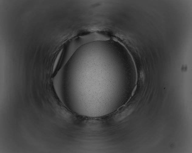 X0000091491300200708301927