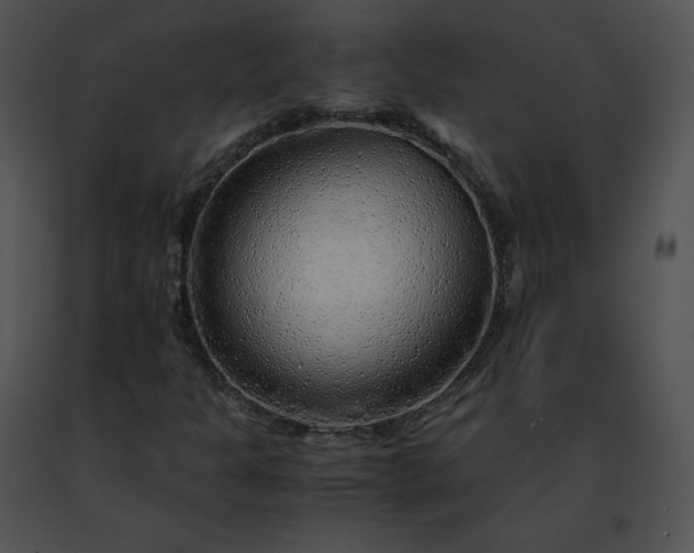 X0000091491301200708301927