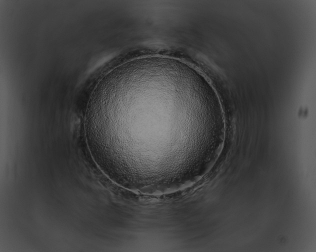 X0000091491302200708301927