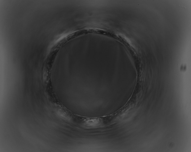 X0000091491303200708301927