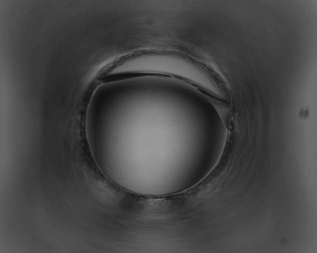 X0000091491304200708301927